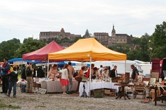 La Grande Fouille 2012 - Rougemont (52)